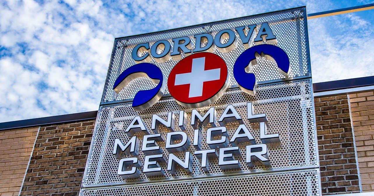 Cordova Animal Medical Center Building Sign